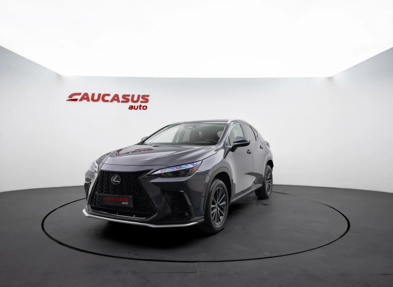 2025 LEXUS NX
